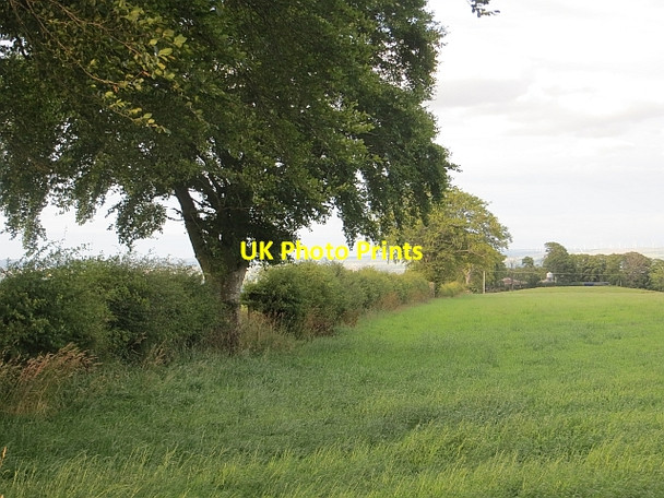 Photo 6"x4" Fields near Highlawside Glassford c2013
