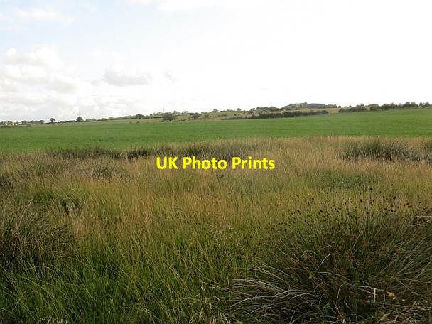 Photo 6"x4" Damp ground near  Low Kittymuir Birkenshaw\/NS7649 c2013