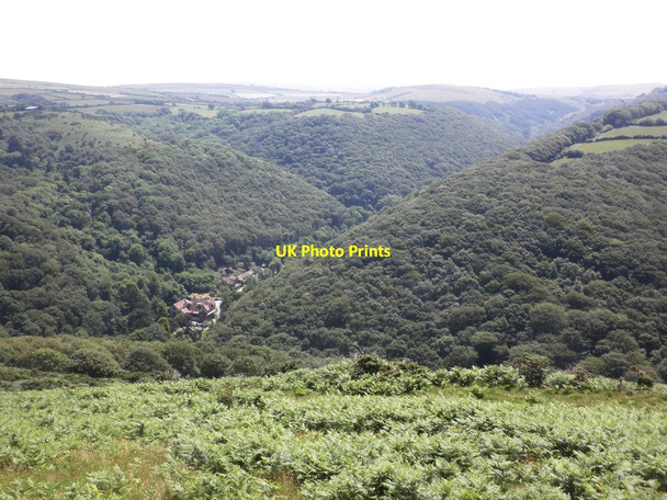 Photo 6"x4" Looking down on Heddon Valley Martinhoe c2014