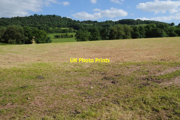 Photo 6"x4" Harvested silage field Hay-on-Wye\/Y Gelli Gandryll c2014