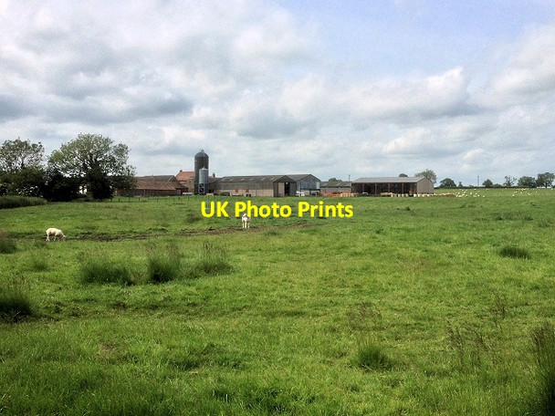 Photo 6"x4" Farmland off Lumley Lane Kirkby Fleetham c2014