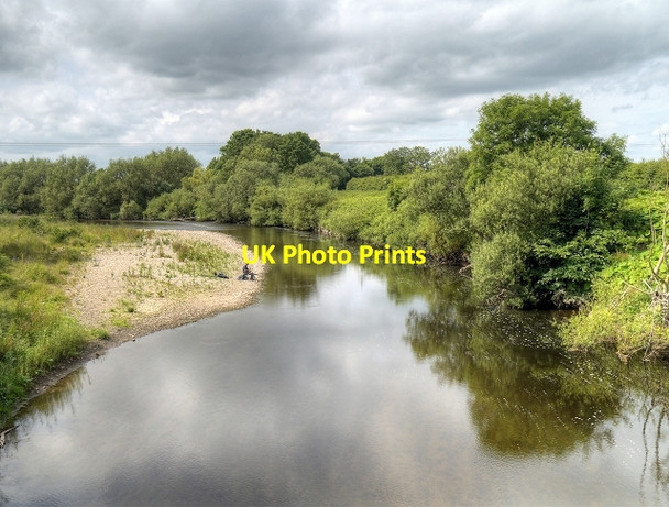 Photo 6"x4" River Swale, Upstream from Great Langton Great Langton c2014