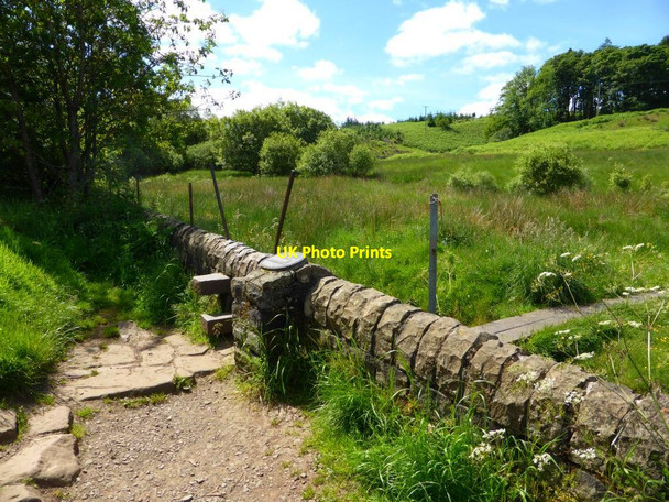 Photo 6"x4" Auchineden Hill, stile Dumgoyne\/NS5283 c2014
