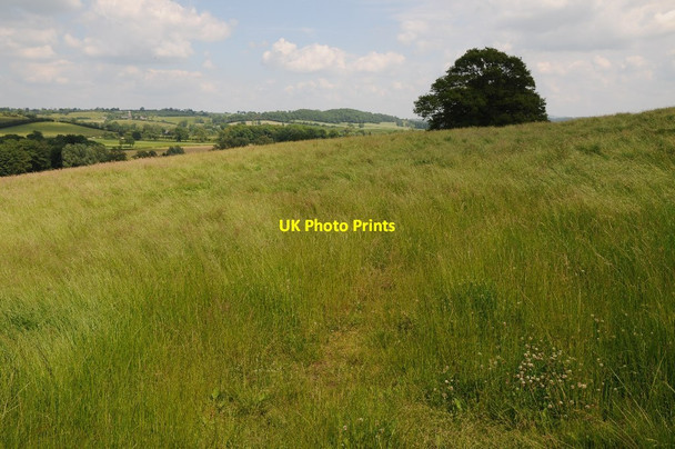 Photo 6"x4" Farmland at Stoke Lacy Moreton Jeffries c2014