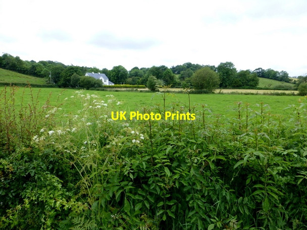 Photo 6"x4" Dressoge Townland Drumquin c2014