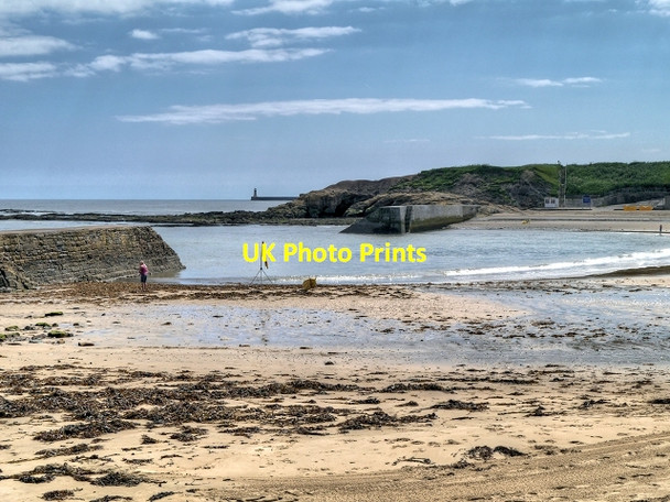 Photo 6"x4" Cullercoats Bay Whitley Bay c2014