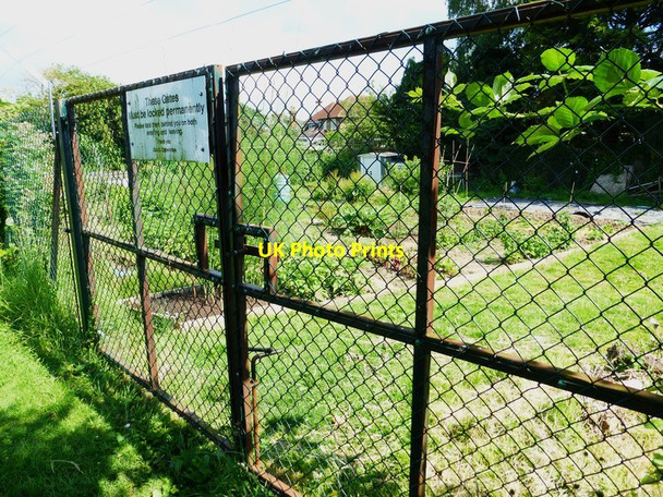 Photo 6"x4" Looking into small allotment area by recreation ground Guildford c2014