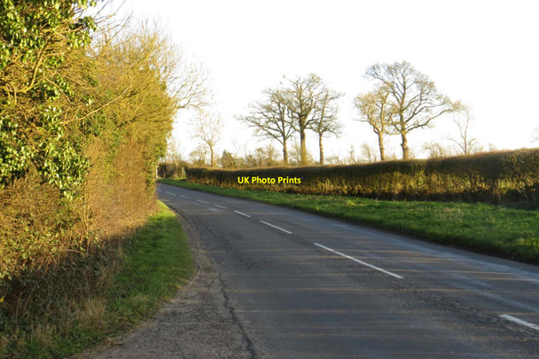 Photo 6"x4" Cuckoo Lane to Eynsham Barnard Gate c2014