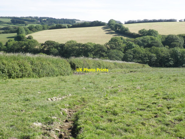 Photo 6"x4" Rowley Wood Parracombe c2014