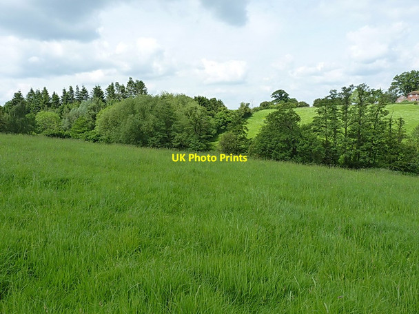 Photo 6"x4" The valley of the Row Brook Pitchford c2014