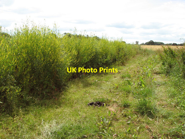 Photo 6"x4" Fields by Harris Green Farm Hardwick\/TM2289 c2014
