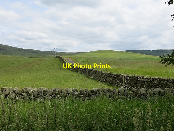 Photo 6"x4" Annandale pasture Mid Murthat c2014