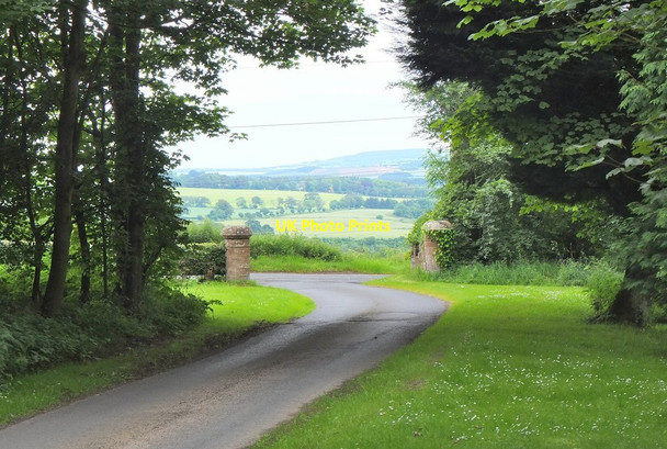 Photo 6"x4" Road from Castle Mains Cumledge c2014