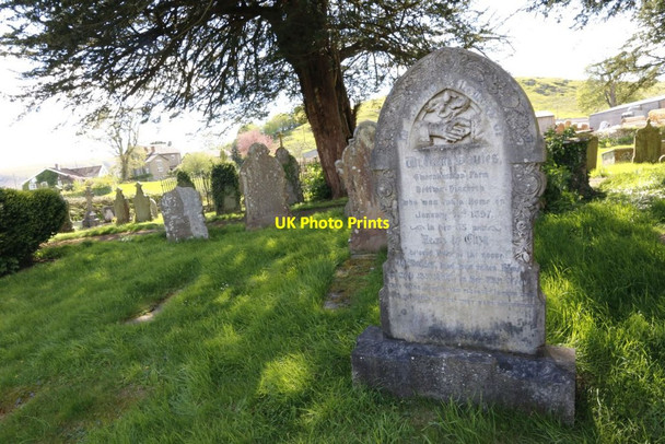 Photo 6"x4" Under the Trees Llansantffraed-in-Elwel c2014