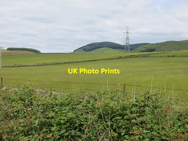 Photo 6"x4" Annandale grassland Dumcrieff c2014