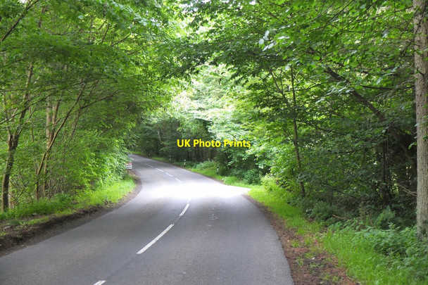 Photo 6"x4" B6365 near Duns Castle estate Cumledge c2014