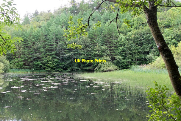 Photo 6"x4" Mill Dam, Duns Castle nature reserve Duns c2014