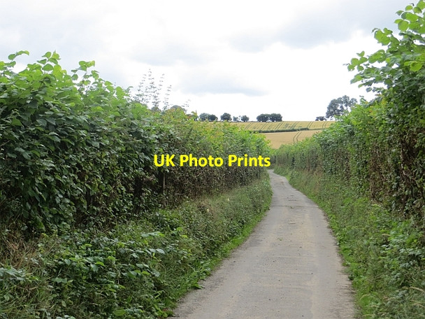 Photo 6"x4" Dunfield Lane Lower Harpton c2013