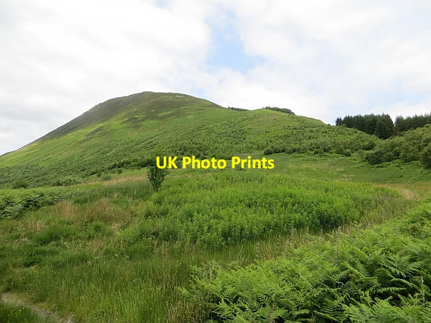 Photo 6"x4" Carrifran Gans Capplegill c2014