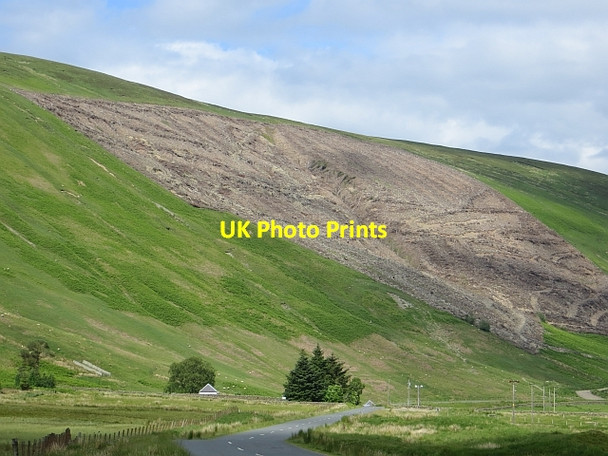 Photo 6"x4" Felled plantation, Paper Hill Paper Hill\/NT2117 c2014