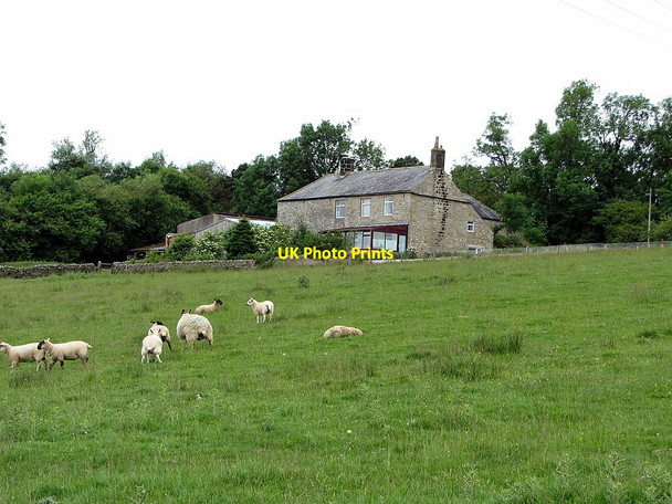 Photo 6"x4" Manor Farm Wark\/NY8677 c2014