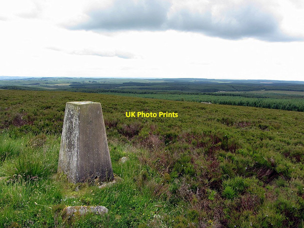 Photo 6"x4" Trig point, Watch Crags Greystead c2014