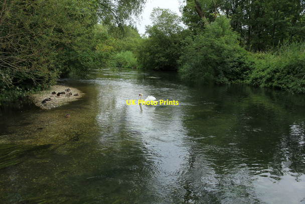 Photo 6"x4" River Itchen Couch Green c2014