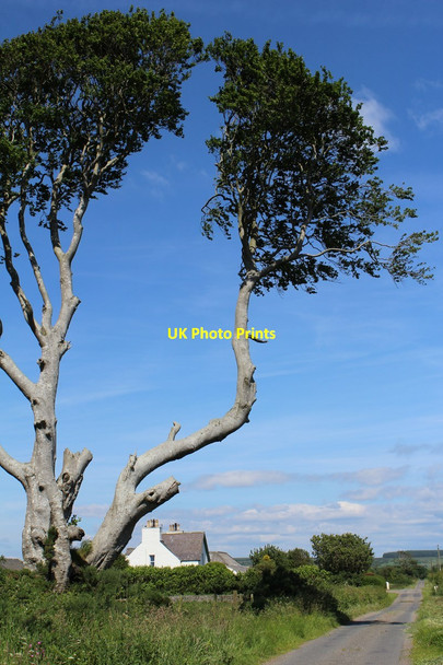 Photo 6"x4" Minor road at Mark Castle Kennedy\/NX1059 c2014
