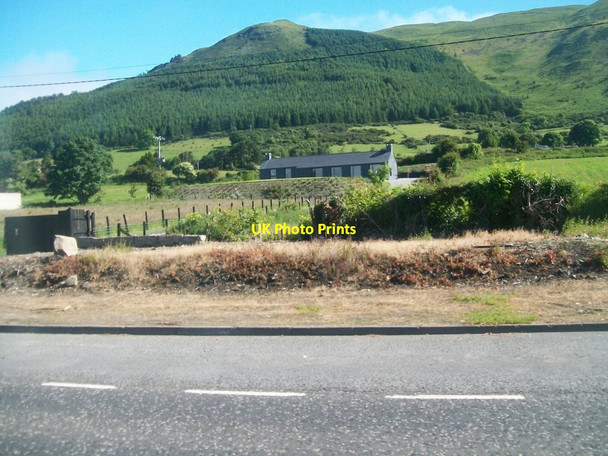 Photo 6"x4" New built houses between the A2  and the Killowen Old Road Rostrevor c2014