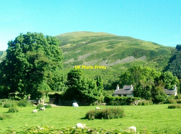 Photo 6"x4" Cottages below Knockshee Rostrevor c2014