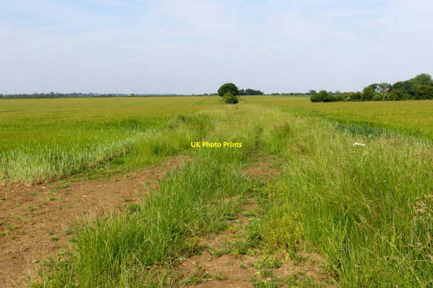 Photo 6"x4" Bridleway to Woodstock Woodstock\/SP4416 c2014