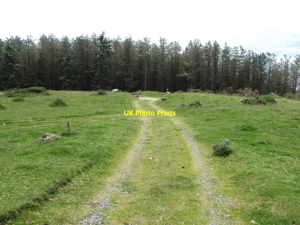 Photo 6"x4" Track junction on the Killowen Mountain Transmitter Service Road Rostrevor c2014