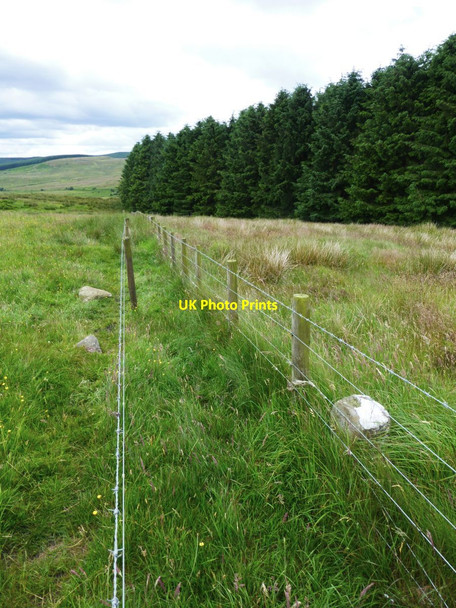 Photo 6"x4" Boundary stone with double fence Glantlees c2014