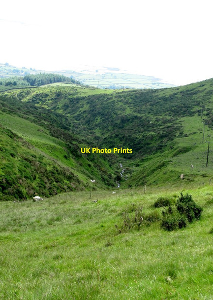 Photo 6"x4" Looking down into the Ballincurry River gorge Rostrevor c2014