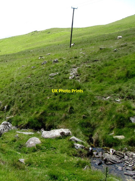 Photo 6"x4" Path leading from the ford towards the Killowen Mountain track Rostrevor c2014