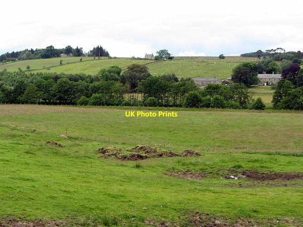Photo 6"x4" Fields near Low Carriteth Farm Lanehead\/NY7985 c2014