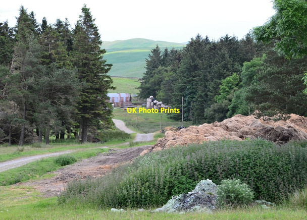 Photo 6"x4" Track on Newton Hill Stobs Castle c2014