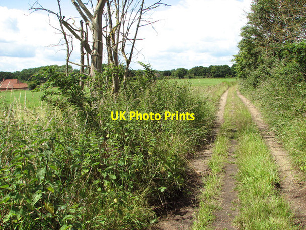 Photo 6"x4" View west along Blyford Lane Holton\/TM4077 c2014