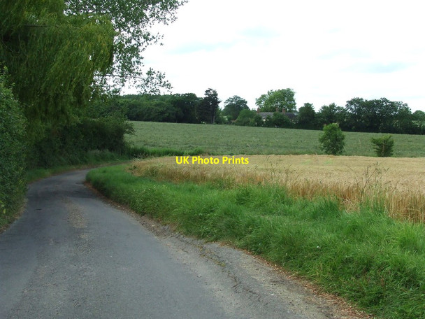 Photo 6"x4" Bend On Country Lane Great Glemham c2014