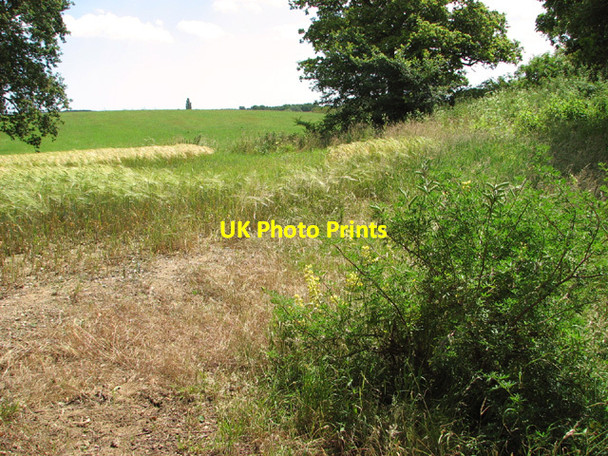 Photo 6"x4" Crop fields east of Holton Holton\/TM4077 c2014