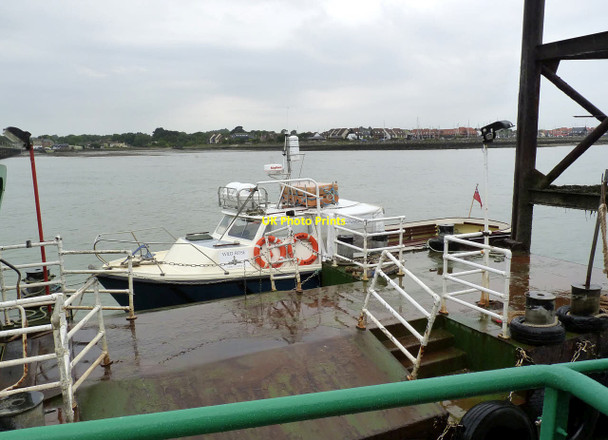 Photo 6"x4" Wild Rose at Hythe Pier Hythe\/SU4207 c2014