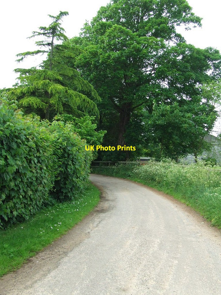 Photo 6"x4" Bend On Country Lane Methersgate c2014