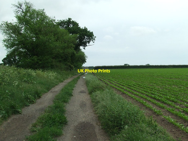 Photo 6"x4" Track And Footpath Waldringfield c2014