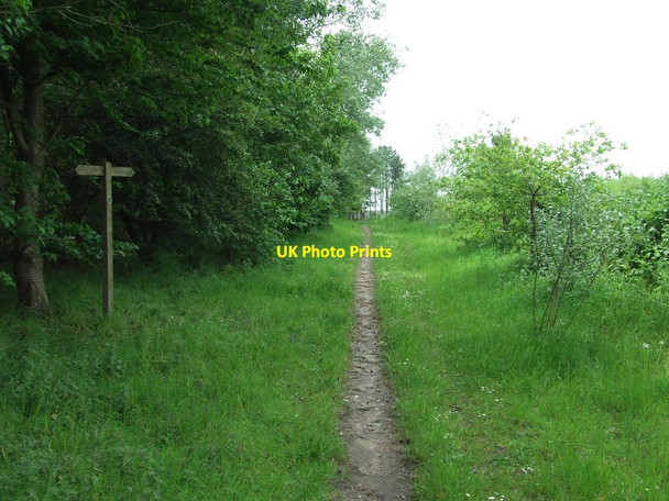 Photo 6"x4" Footpath Guide Post Waldringfield Heath c2014