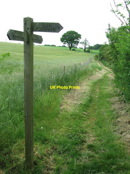 Photo 6"x4" Footpath Junction Waldringfield Heath c2014