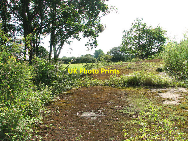 Photo 6"x4" WW2 relic Topcroft Street c2014