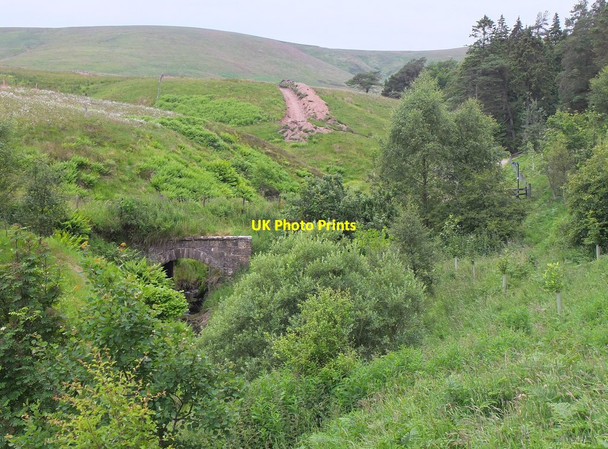 Photo 6"x4" Path to the bridge over the Fairliehope Burn Carlops c2014