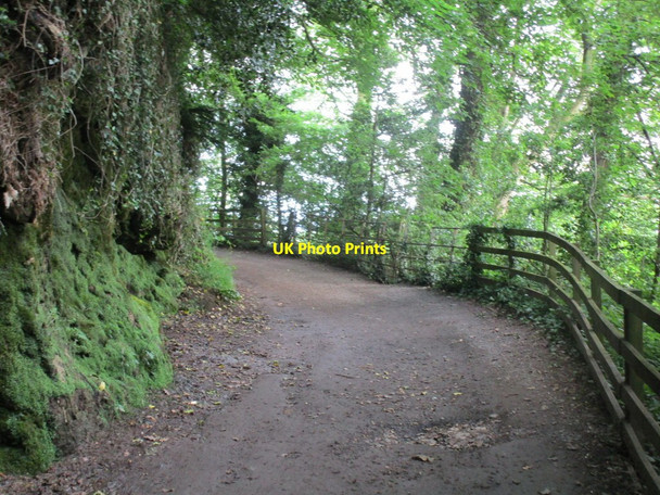 Photo 6"x4" Easby Low Road Richmond\/NZ1701 c2014