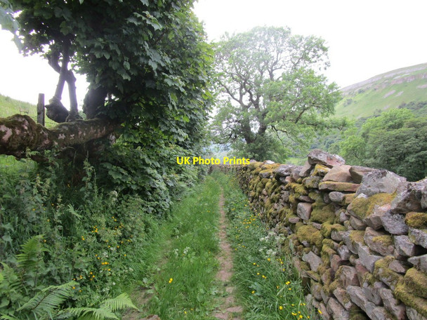Photo 6"x4" Footpath to Keld Muker c2014