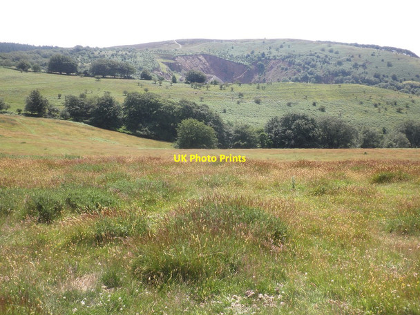 Photo 6"x4" Looking towards Triscombe Quarry Triscombe c2014